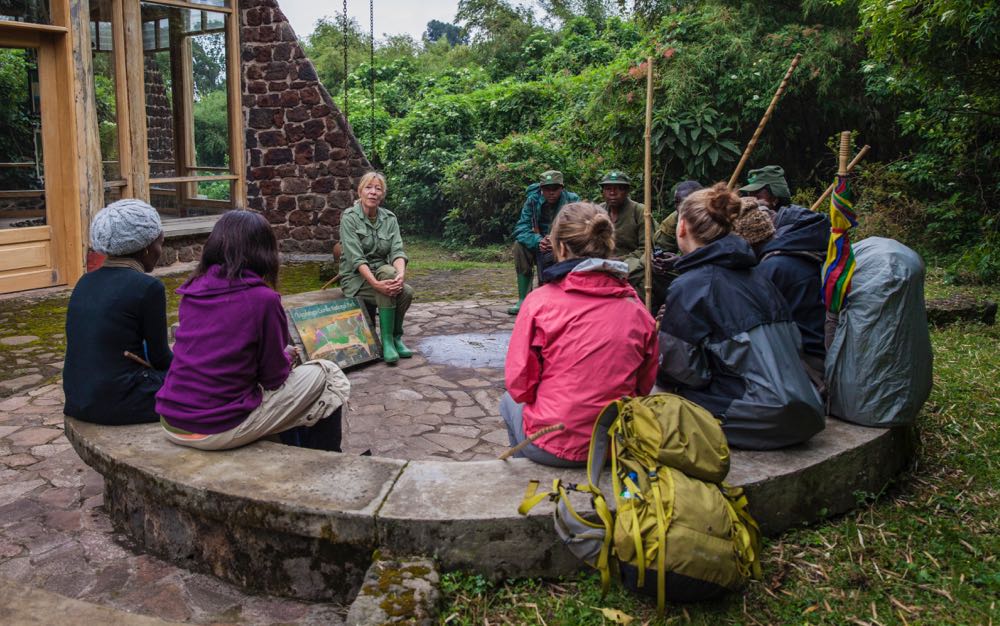 Introduction to Golden Monkey Tracking by Sandra Grey ( Courtesy Photo)